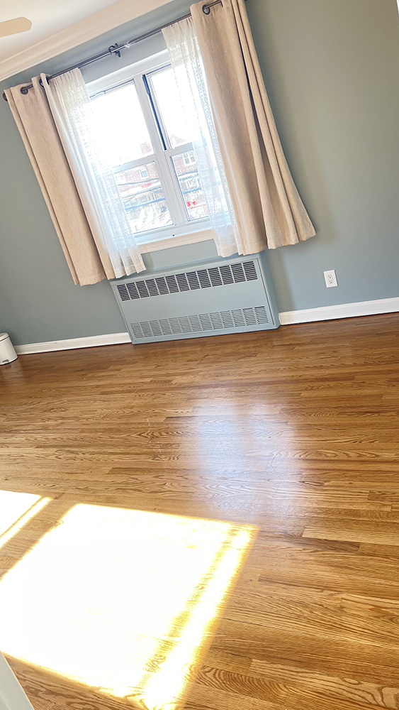 Professional Cleaning Service