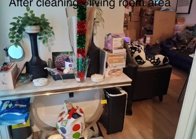 Cleaning Service