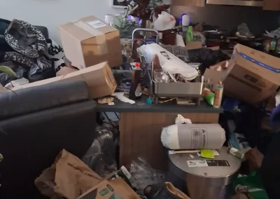 Cleaning Services